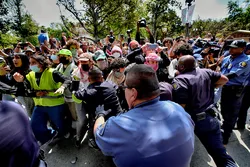 Dominique andrade__other_sources-2.Dominique andrade__other_sources